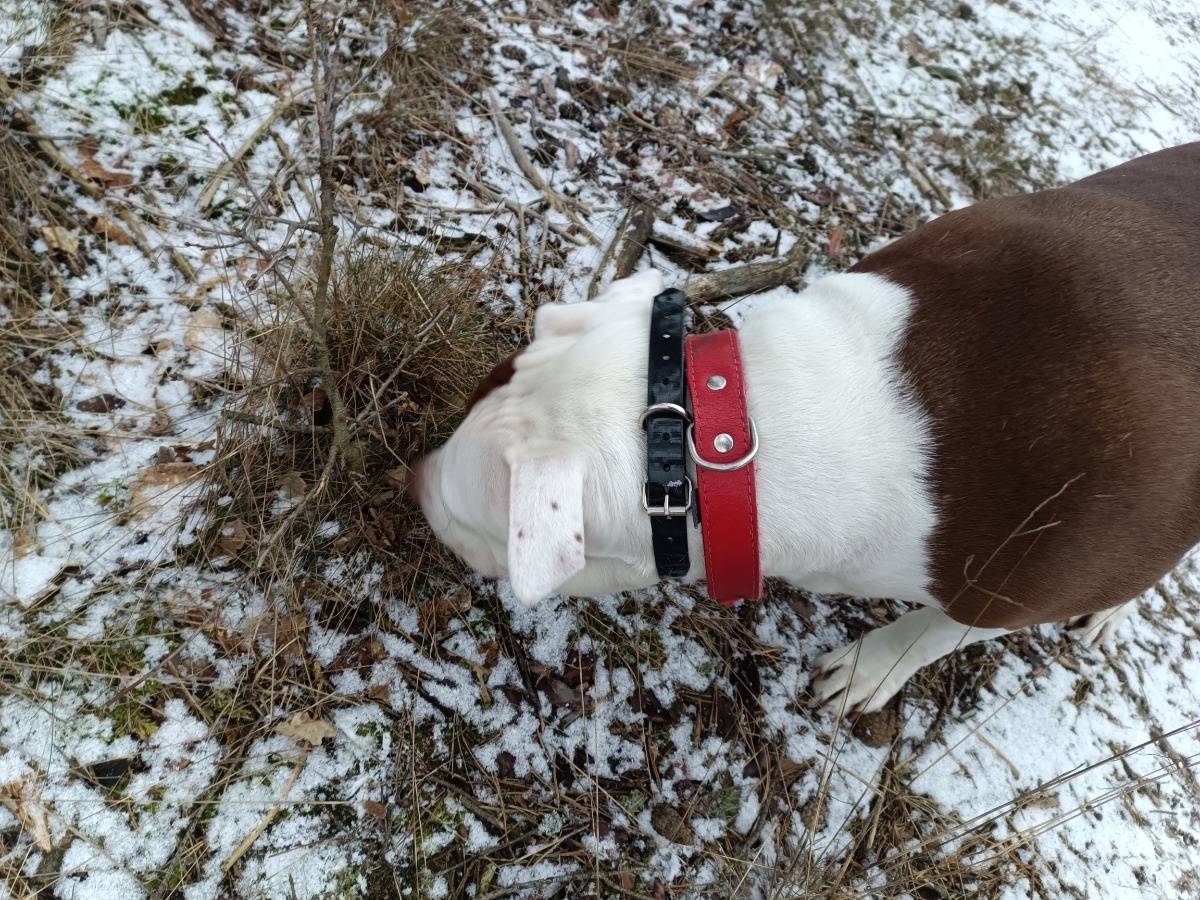 5911f854-05be-4514-892b-1fb2bacd5fc5