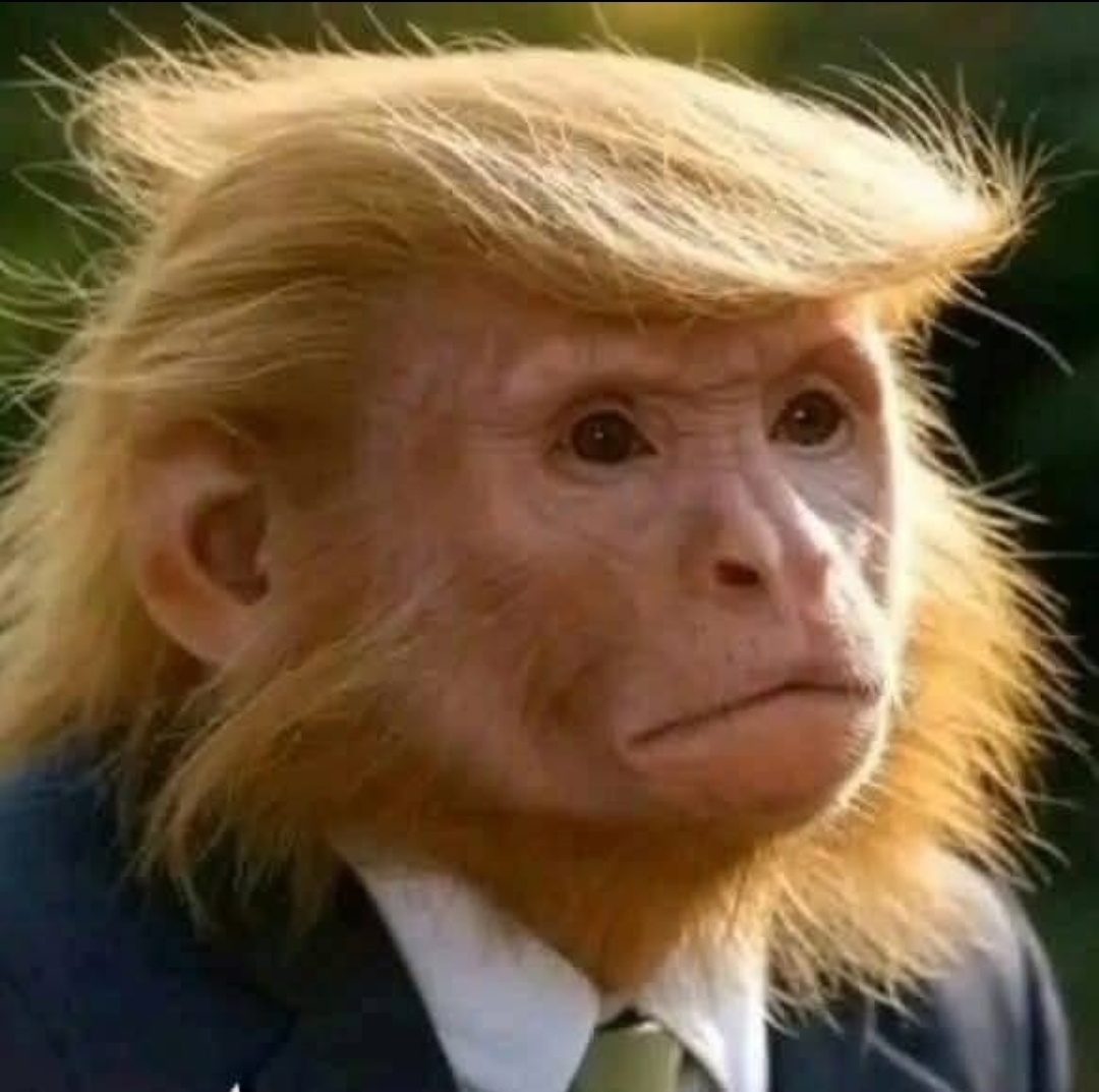 c14fe5ea-11f5-45c4-90b5-a7a04234aa96