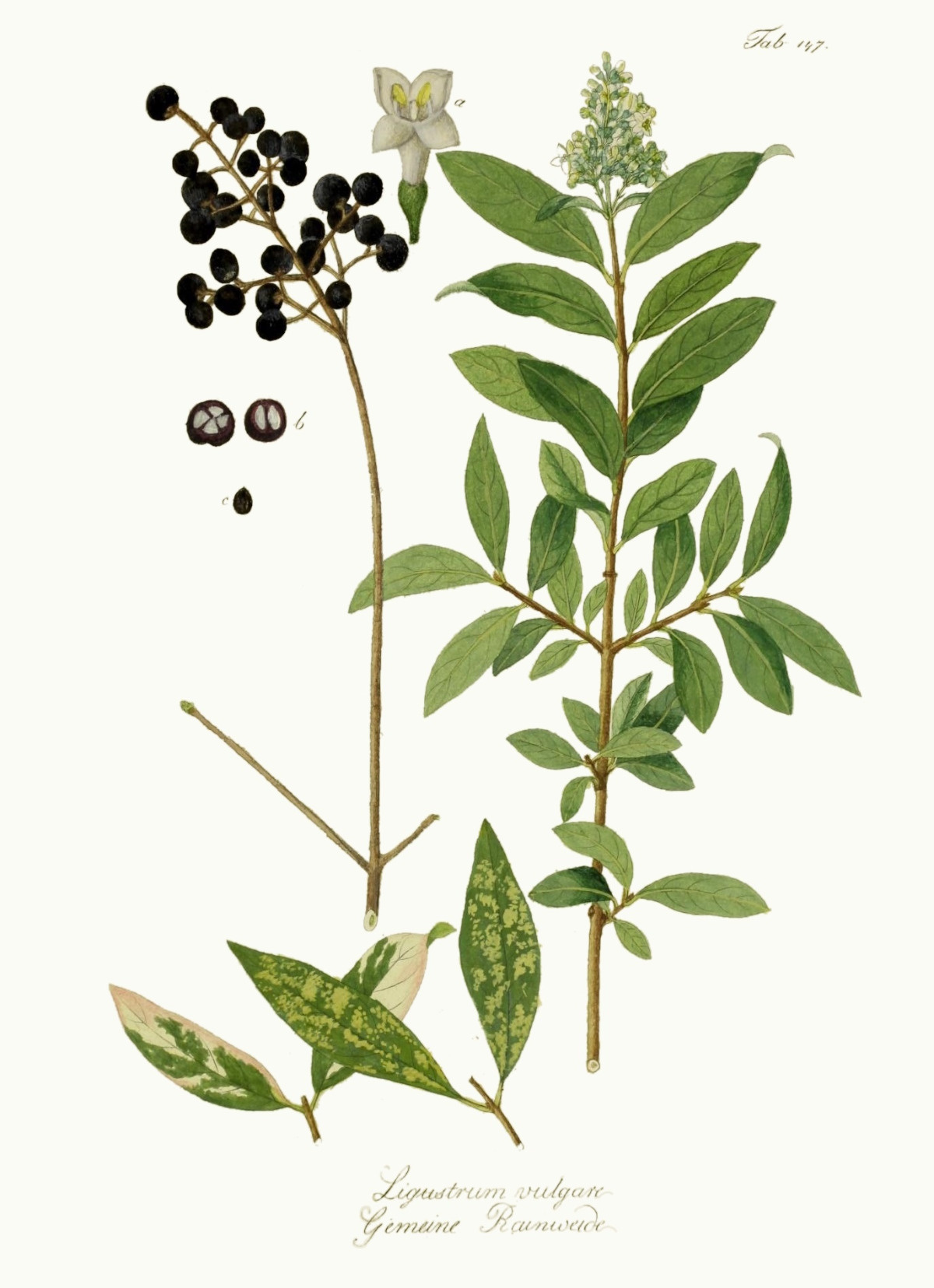 7d775e0f-6472-4bdb-b064-448191b7196e