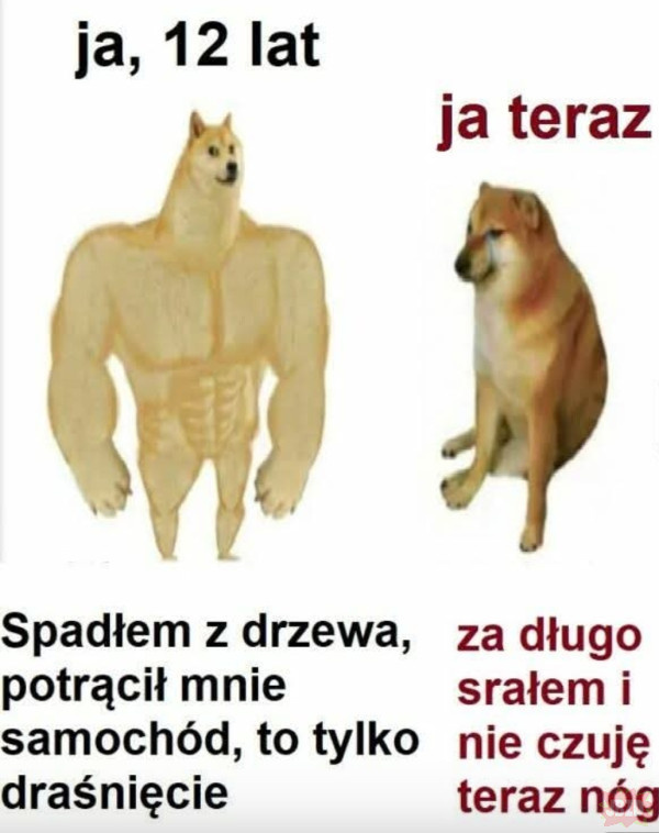 78876330-ad6b-4e55-95fd-7132f76663a6