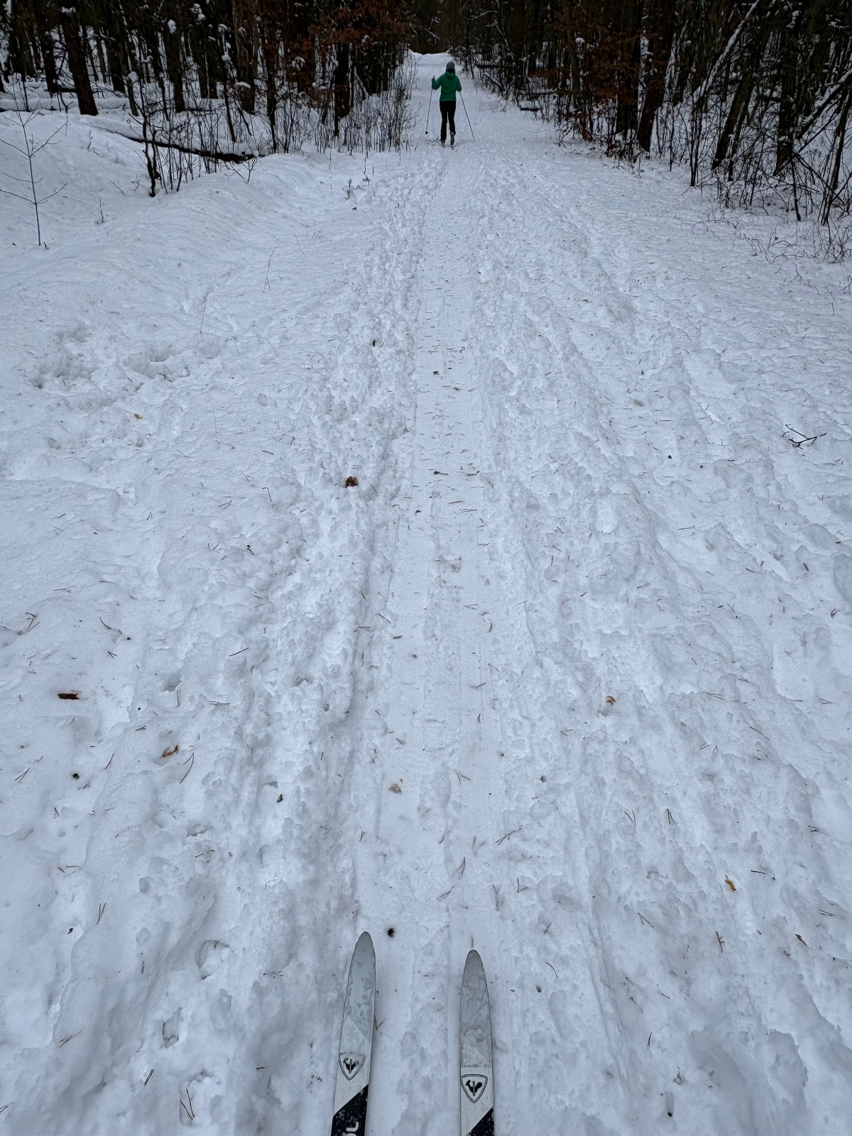 b62759fc-2595-4dff-b38d-ca213bfe7d77