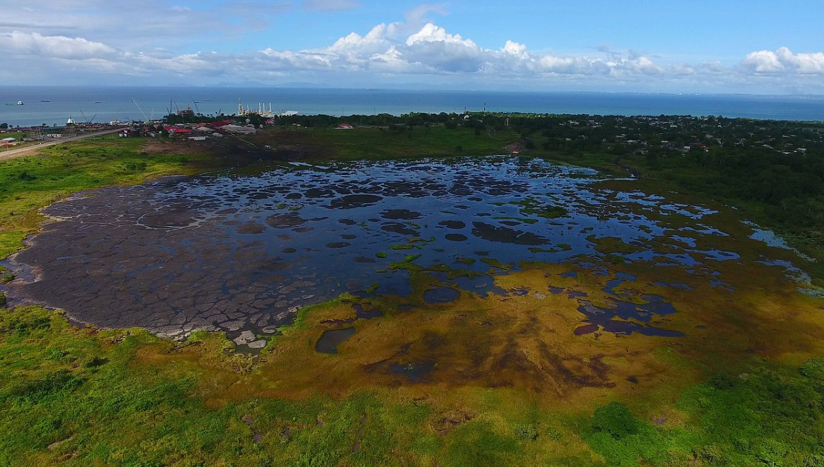 77466257-faa7-490c-9cbd-71657eefaa16