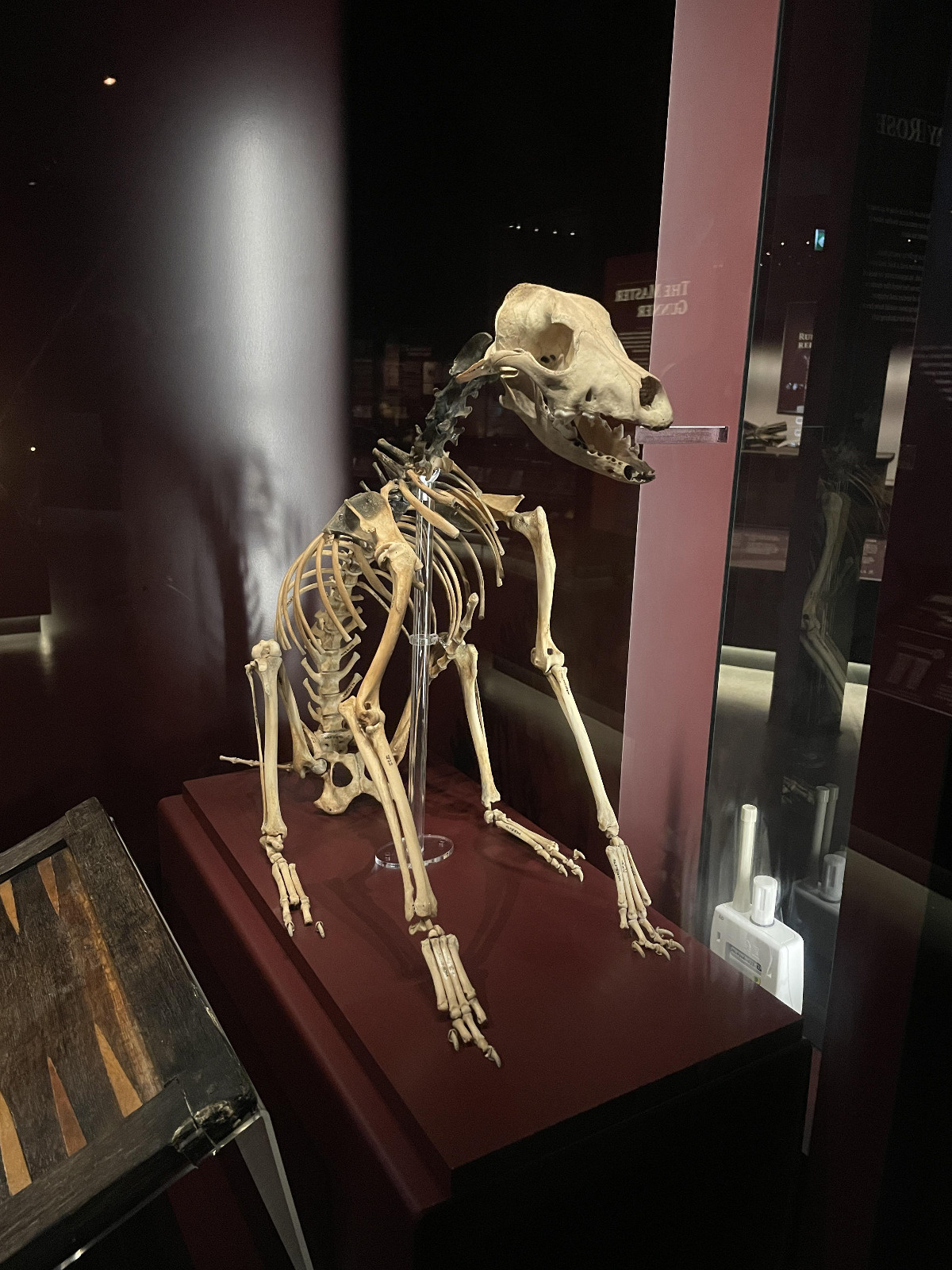 7cf72eb6-0542-4c71-9bfd-3a3aafa436d8