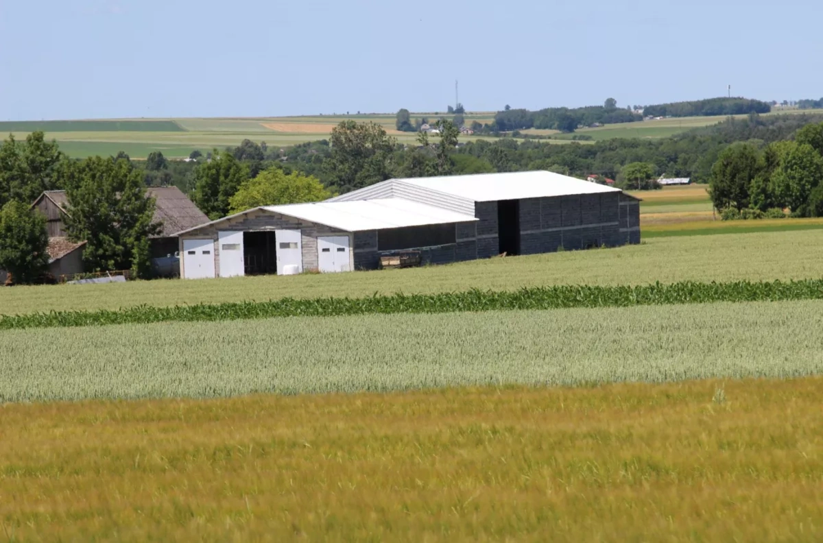 Rolnictwo ekologiczne w Polsce rośnie o 55 tys. ha w 2024 roku - Echo Polski • portal informacyjny, wiadomości, newsy, porady