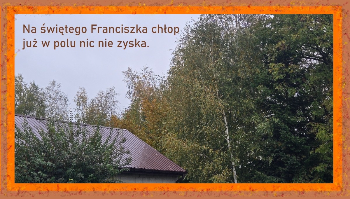 a1b168ae-55f2-4e82-be75-8b7b0a16811b