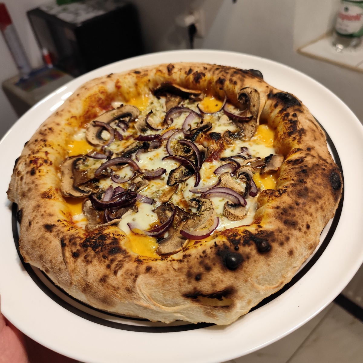 02411a26-e505-4e8f-9e6e-6b1d83033570