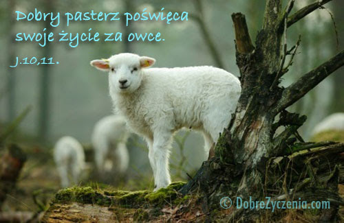 ed45aaa7-22c7-4d99-8fe2-a887db18c00e