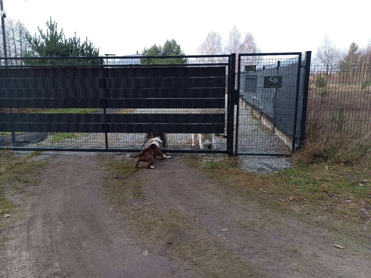 46a85bd0-eed2-4aa3-be6d-4be2d6a3cbea