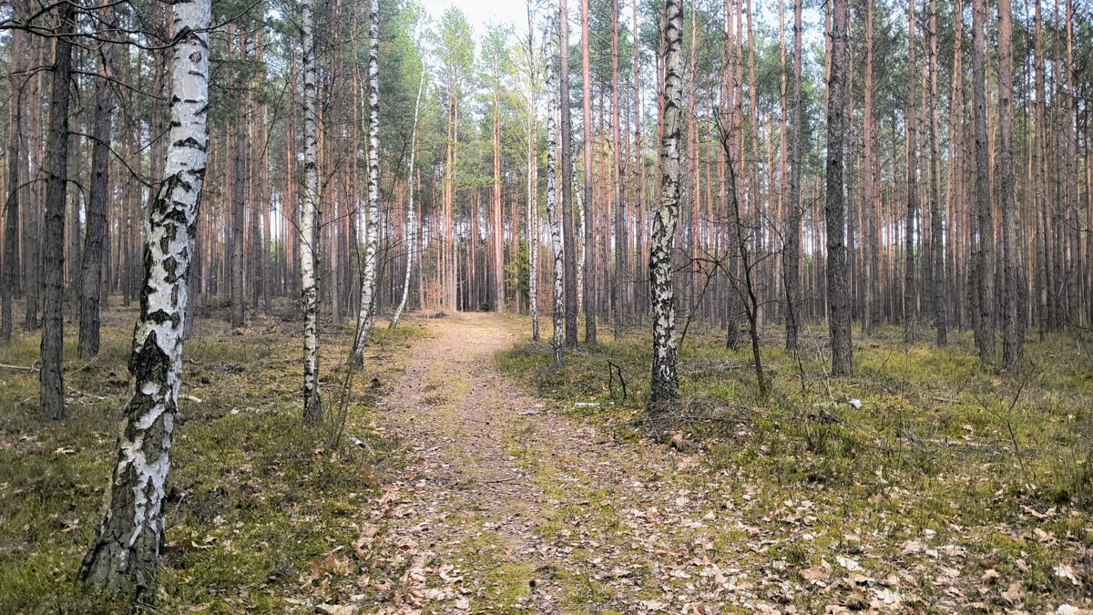 c8da96e2-6ebb-4f24-b4e3-24894a695be4