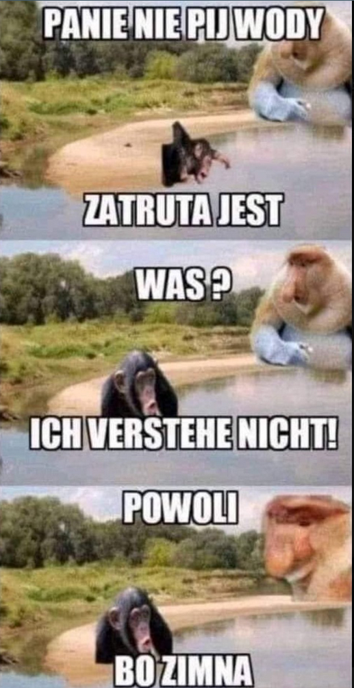 b272994b-5592-4289-b617-00be1f3d2263