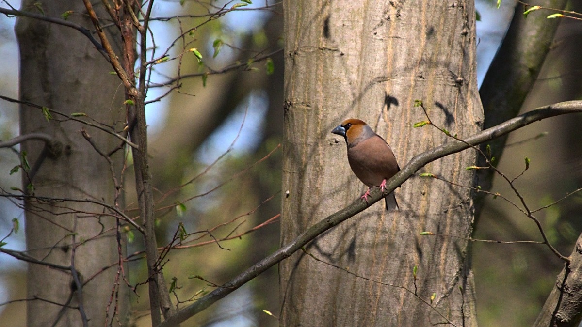 4a45cdbb-794b-4d17-bcc3-50e3158f012d