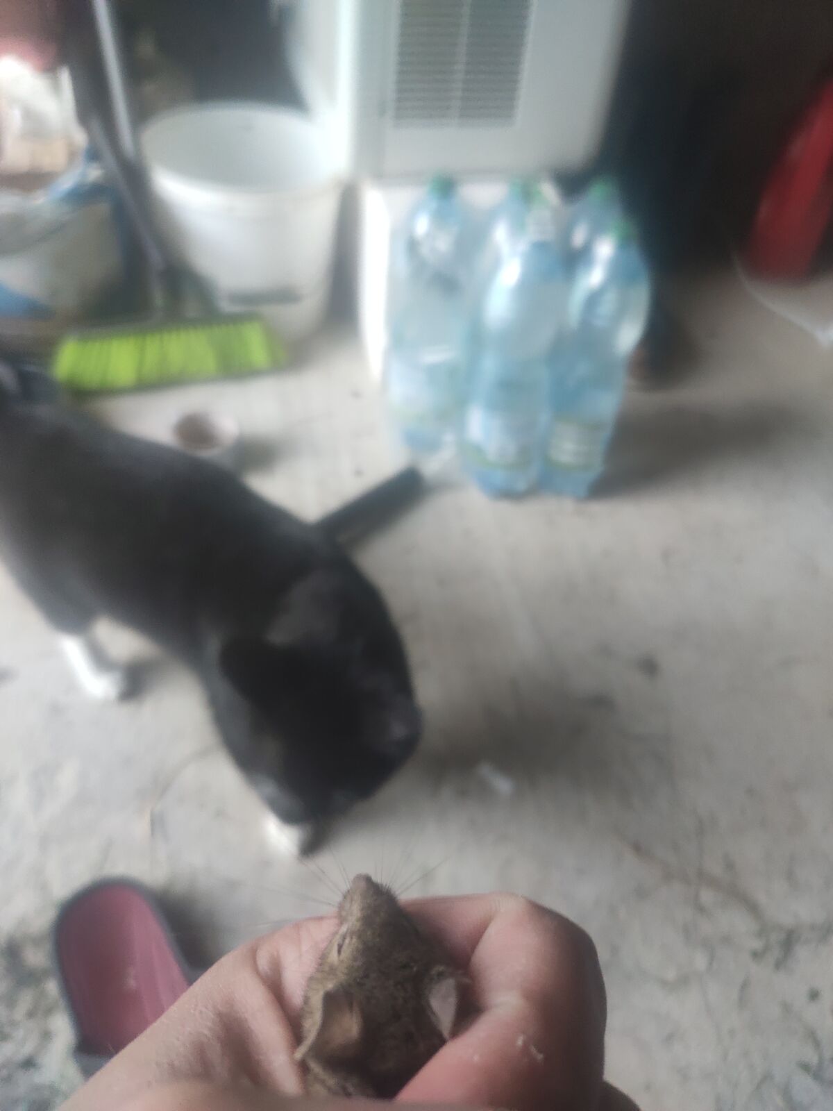 5ba64a83-c7ad-4ba7-adb9-9b5bfacb3434