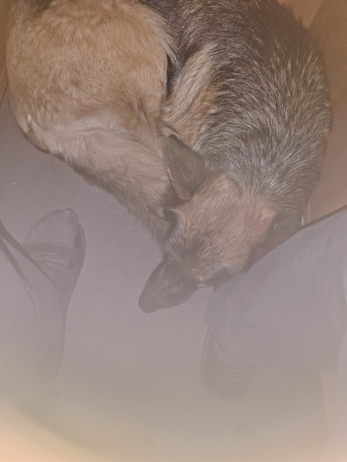 2604a403-1541-4293-b7e7-80a62aeaa5d1