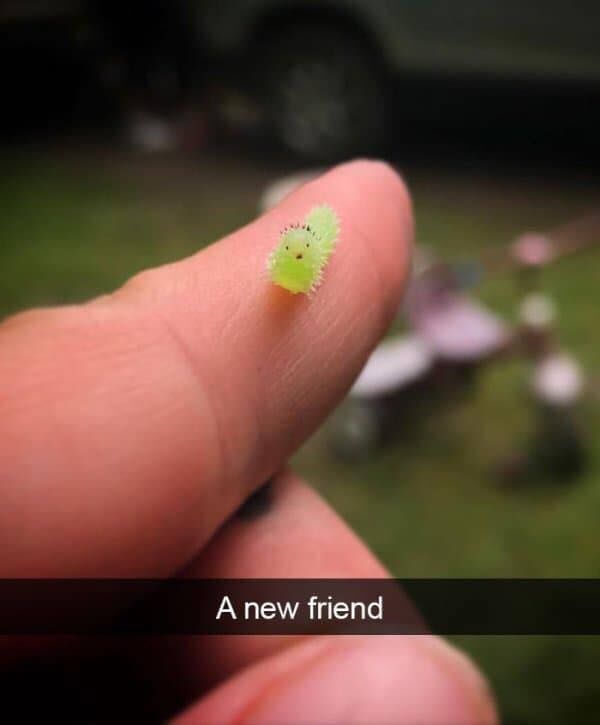 713d308a-30f5-424e-956a-16e33a0c9332