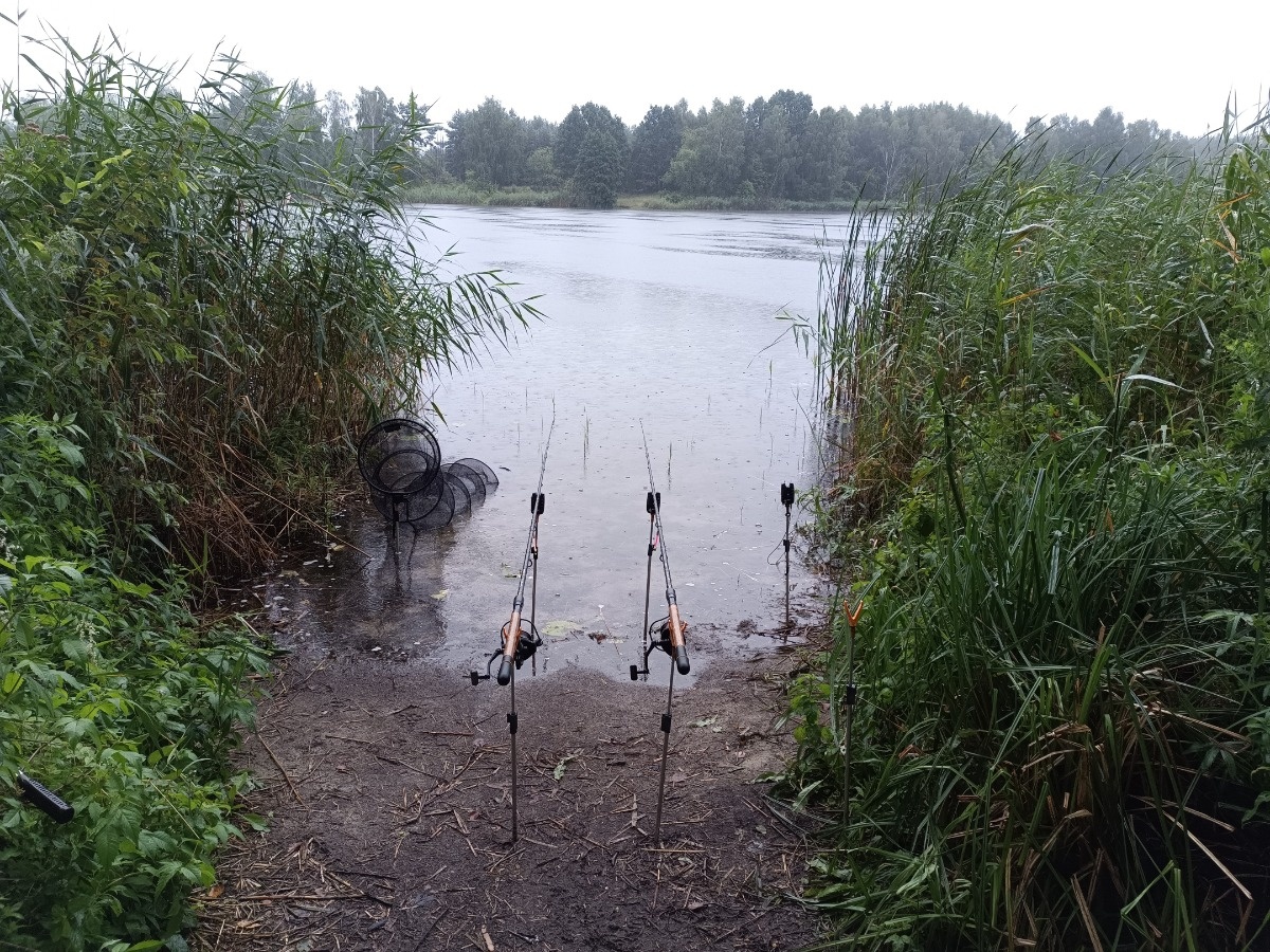 31fa0cc8-d1ca-40a7-95c9-ed7ad100dbbc