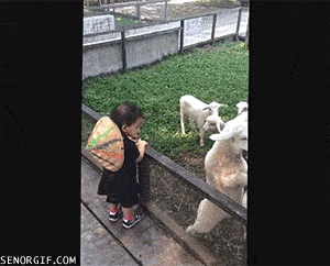 6d85bdff-5323-4a70-b68f-cb17b06a5fba