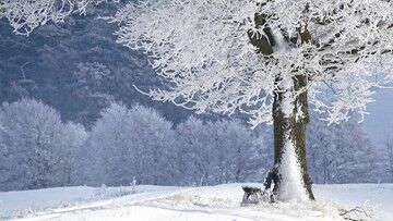 Silne mrozy w nocy z soboty na niedzielę. Nawet minus 20 stopni