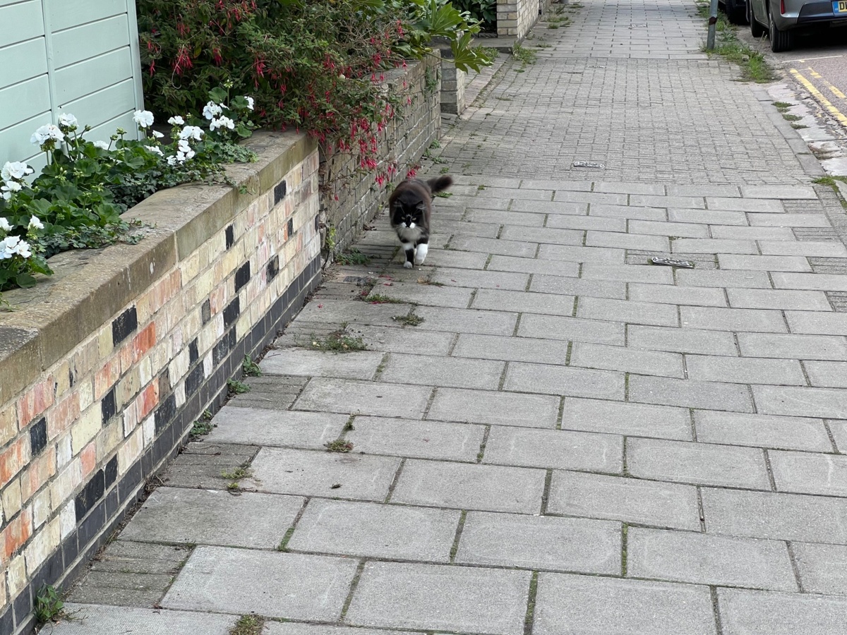 f1a5ca5e-84c8-4314-b771-59fb3c54c593