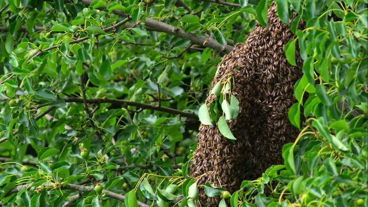 10162310-bf04-43d3-af3f-7efe0116c7b3