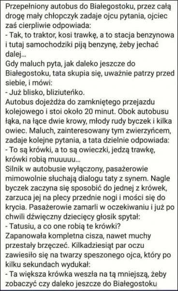 90c19f03-f366-44b4-b199-030c84e5ab1b