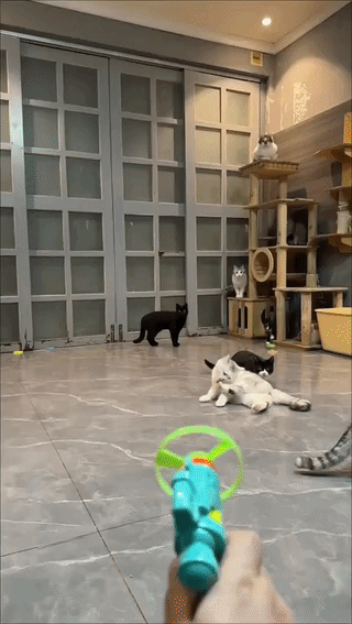 d0dcf527-8918-4a4e-8137-2cf101f95a29