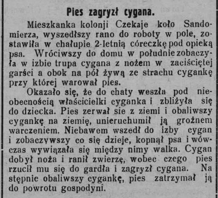 3d63d3ce-19e7-4a56-8d5d-8f3f26437b19