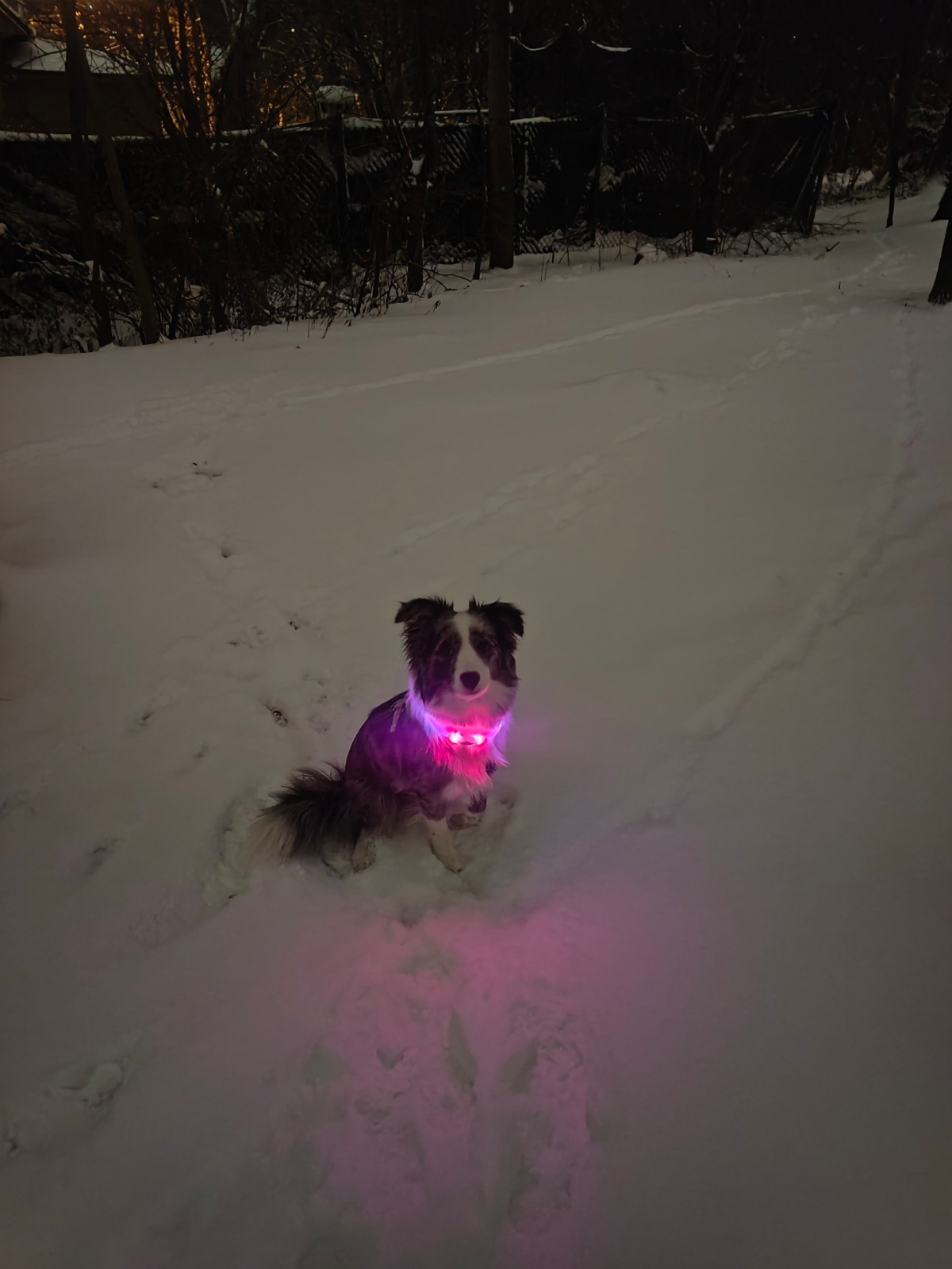 5103f1e7-4ebb-4974-9a4e-33de20331e4c