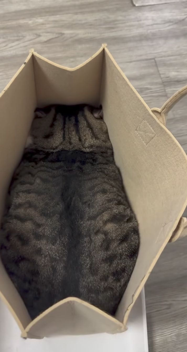 6db78dd3-81a7-4203-847f-5489bcbc2e4a