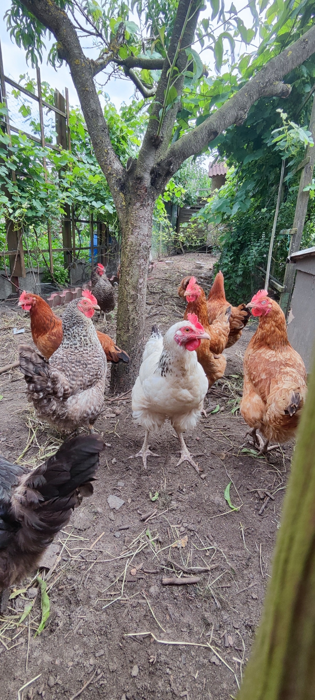 2cb8854b-0906-4824-8074-2b54b15ccf27