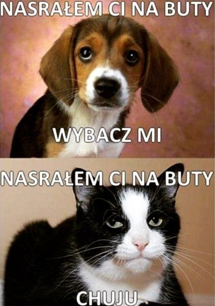 ccc652cf-5a9c-4c79-bfb8-e2a111b032ec