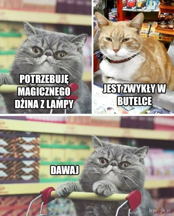 1595b7cd-36e3-46c4-8a29-37dc79846f03