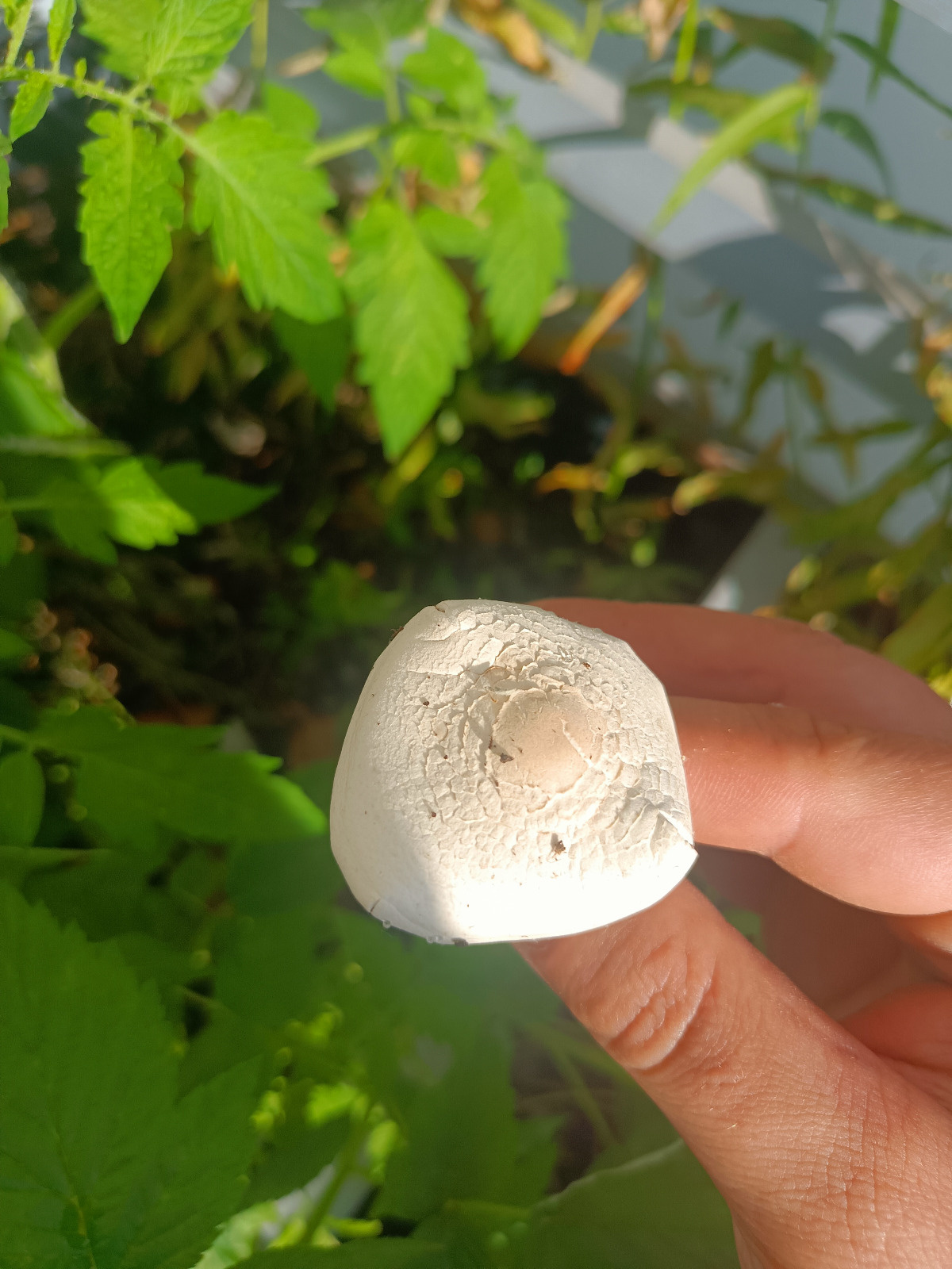 895e17db-ec48-4e60-822f-25941dd6efa0