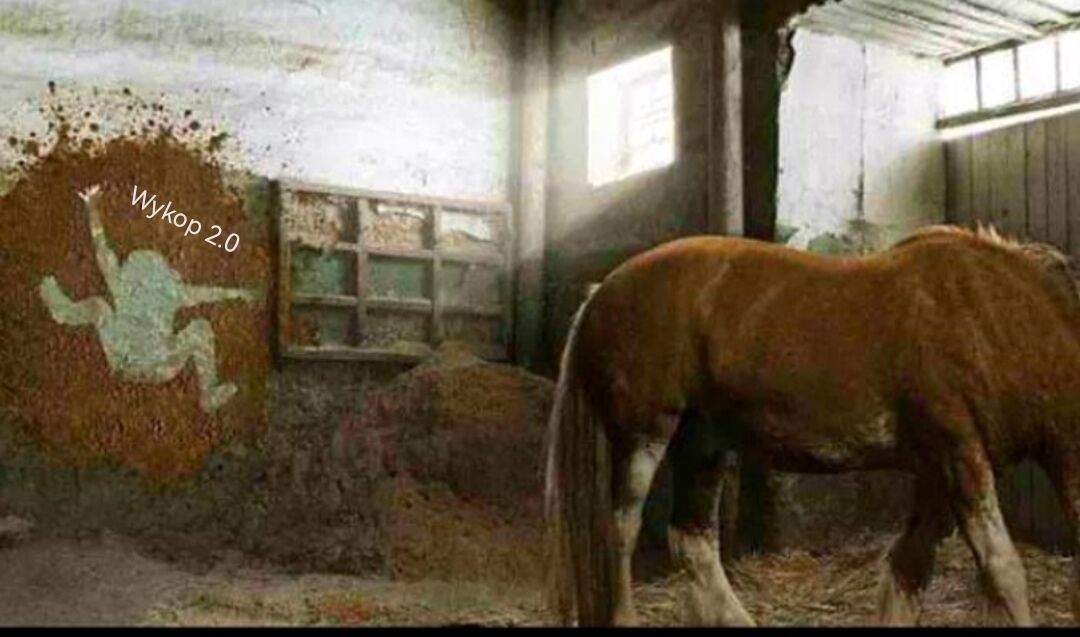 6ca78a59-84ec-4299-9327-cf678fd2eaab