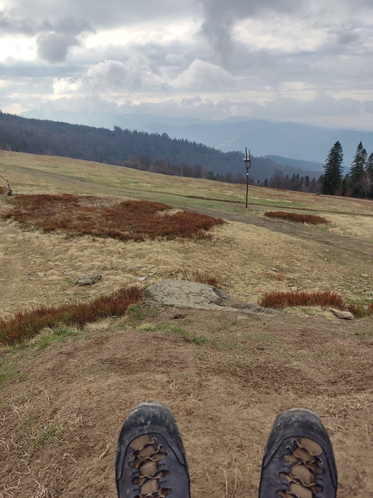 d16efe0f-46aa-452a-8e73-f4c105963363