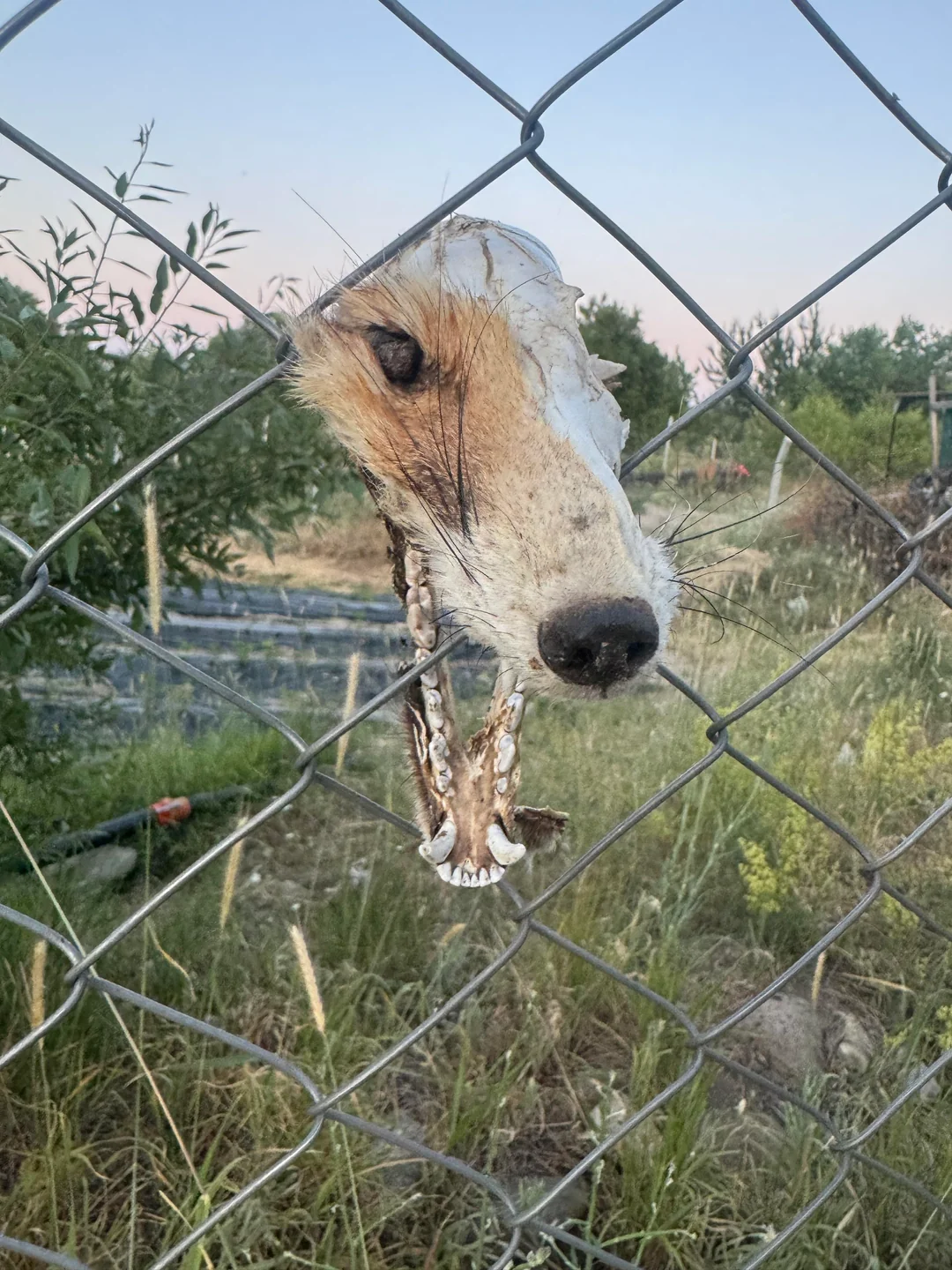 2942aea2-9db5-4222-a9e1-8701755b9107