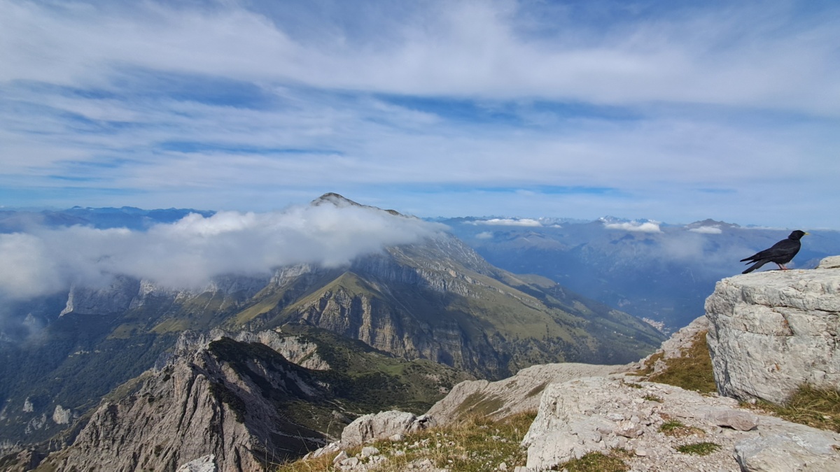 2615e51b-f6d2-4a7e-a191-abcd9db04374