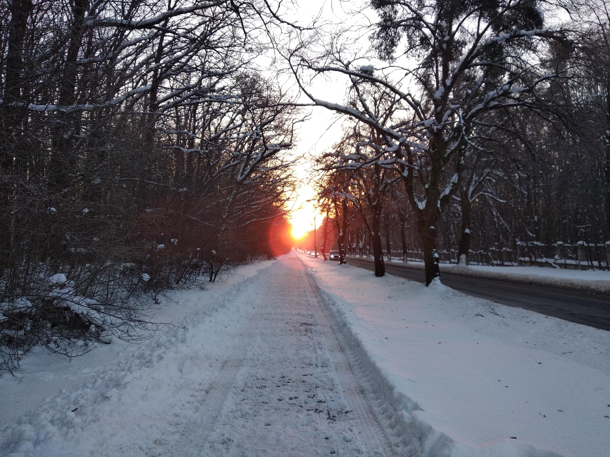 9c0519c6-fe59-446f-a609-b81a5500010f