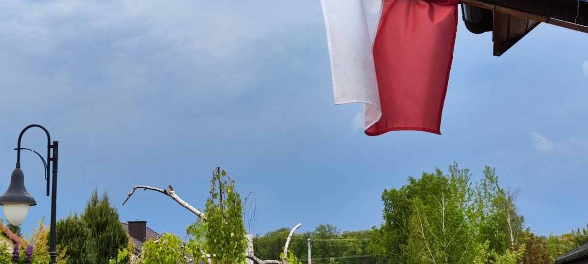 318ca8a2-cf03-40f0-87a8-7dfd93de0b88