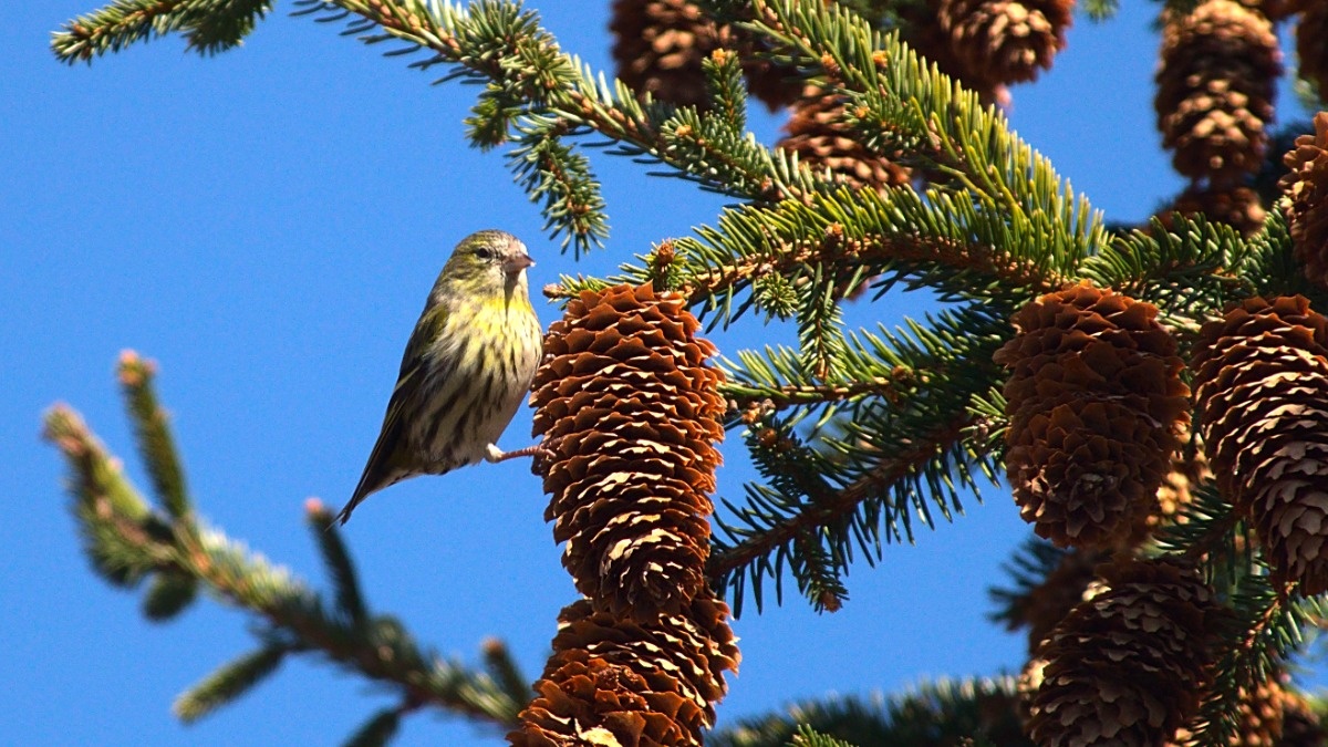 279bba3c-e41b-42b2-8f7b-ee5803a86e64