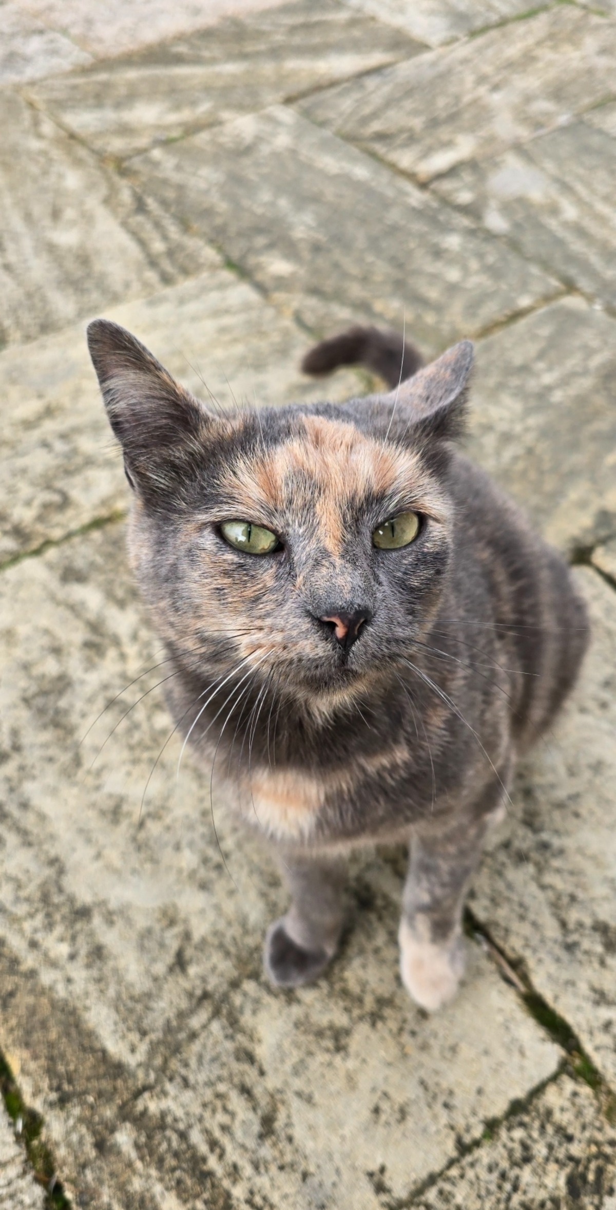 bc32646c-7ecd-4c84-be31-5a96c3b4edf7