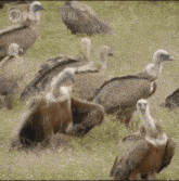 ffd6076f-0266-4a71-9634-34274635af07