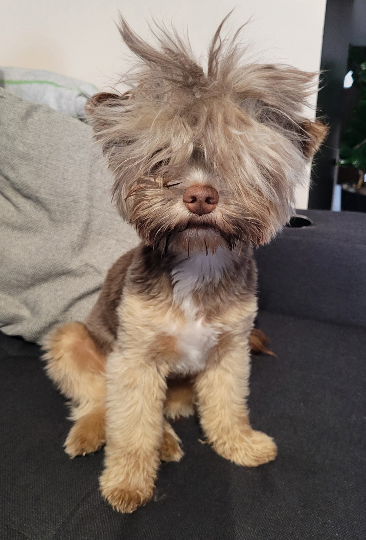 ec650970-a358-479f-8b51-cedb2a1c755f