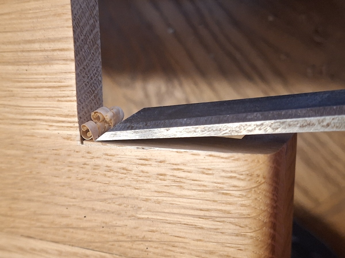 d485ee5a-19aa-4336-8772-5e789642503b