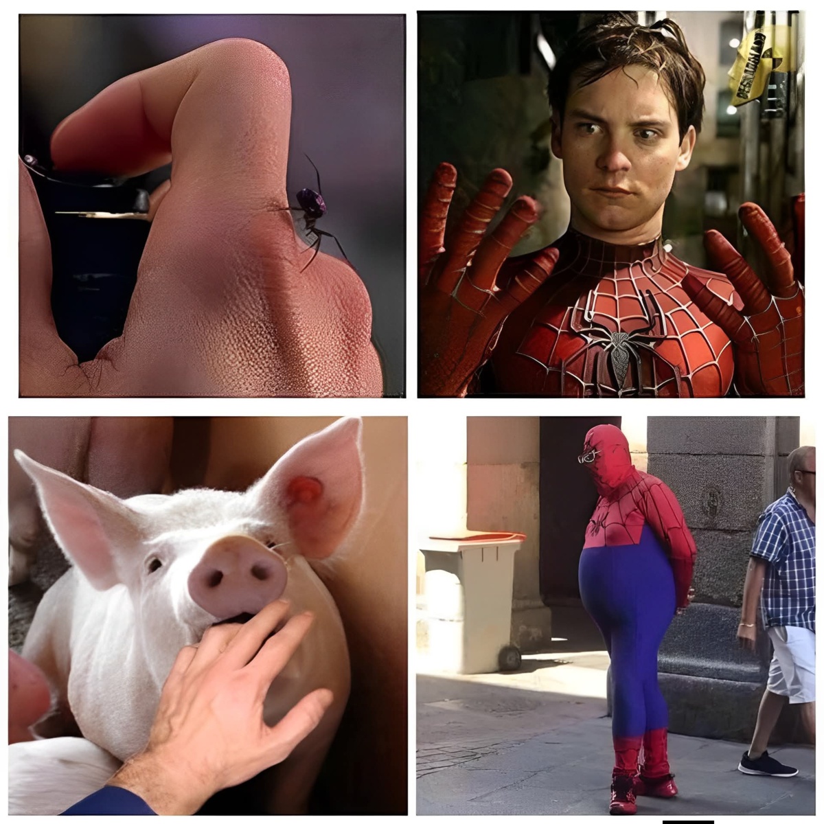 31d8d72b-5b0b-4b8f-ae76-ab4270d5454c