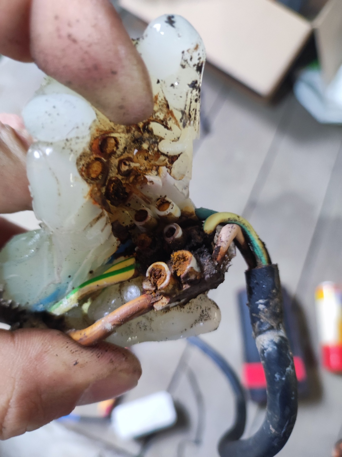 361a60a1-2ec9-413f-92b5-b918aaf61e38