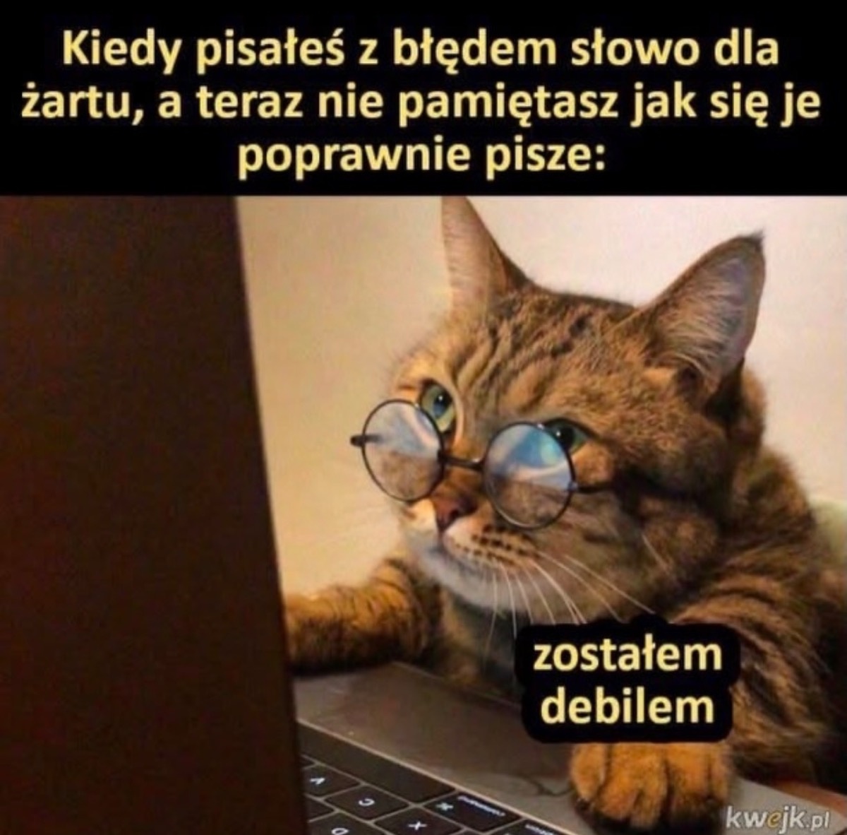 9304051c-e580-475d-913c-320127a499ef