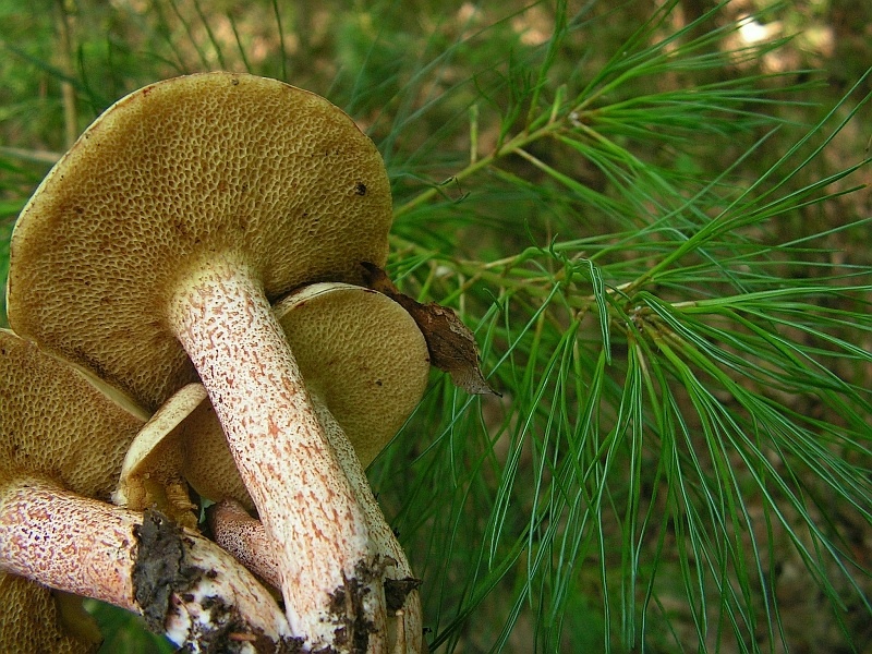 ca49de3a-6c9c-4f68-9691-c9f8ea4cd2d5