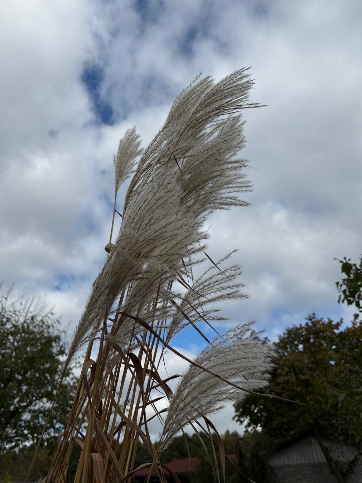 8b3ddbde-92b4-4f1a-a807-abc161b09418