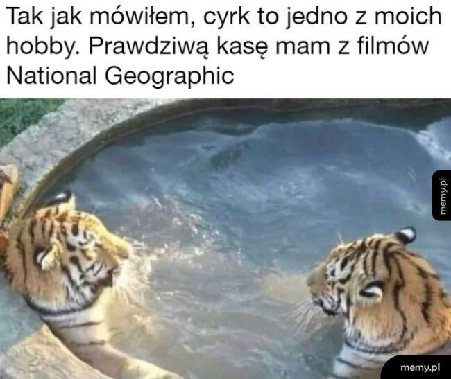 881f249c-08c8-49fd-9889-d5b4e37d7e3a