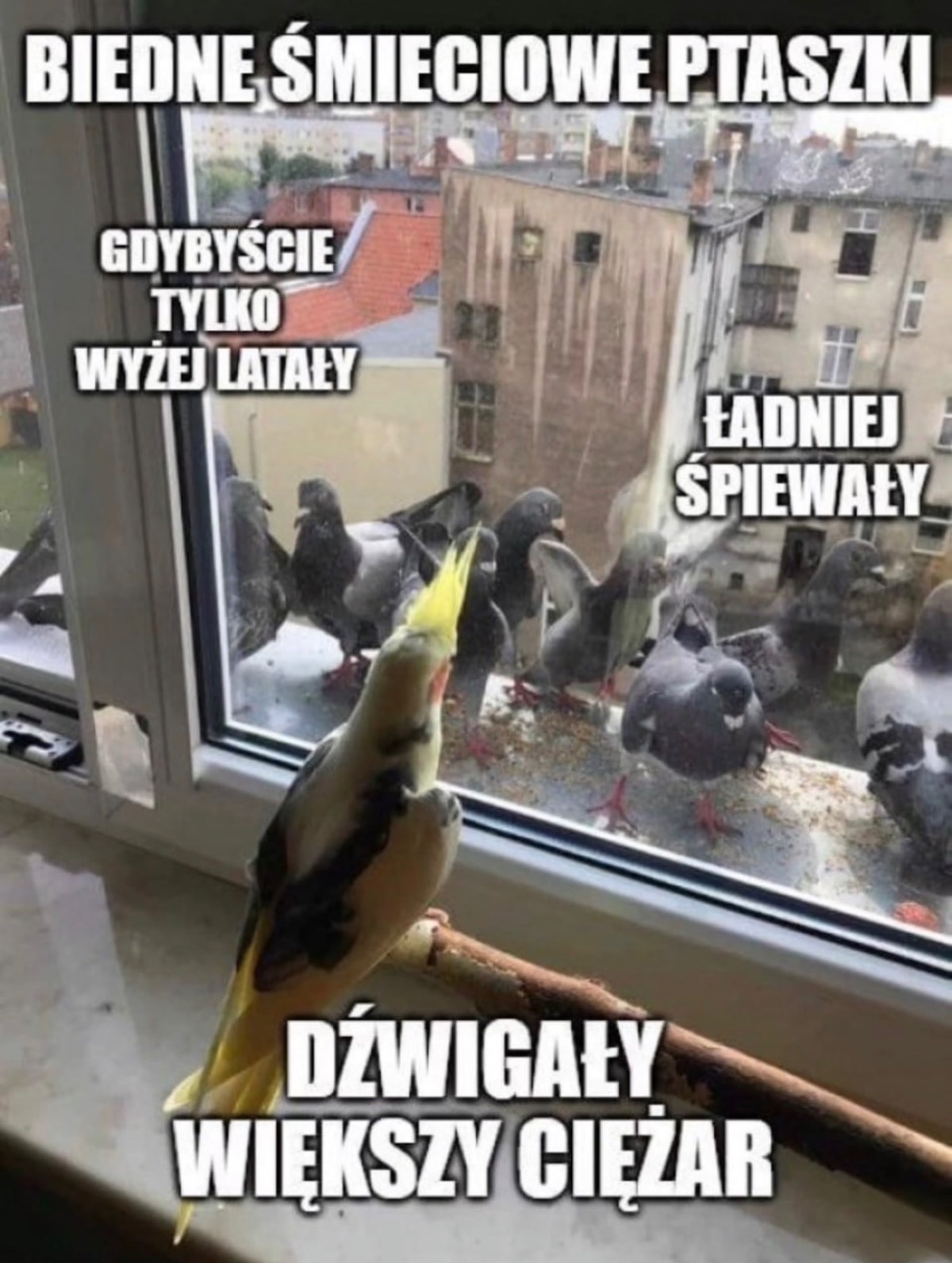 2079b0fb-49be-4a1f-886b-baf7a19f14ac